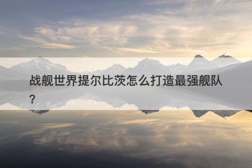 战舰世界提尔比茨怎么打造最强舰队？