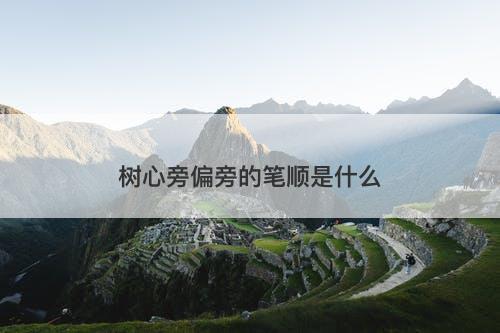 树心旁偏旁的笔顺是什么