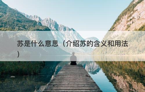 苏是什么意思（介绍苏的含义和用法）