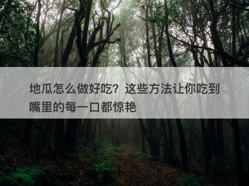 地瓜怎么做好吃？这些方法让你吃到嘴里的每一口都惊艳