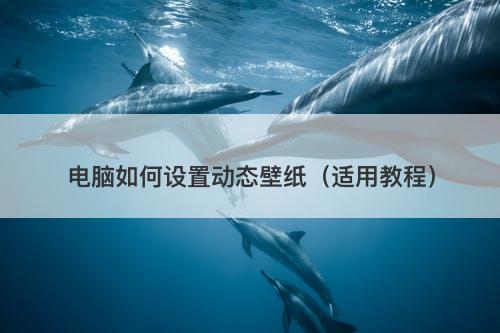 电脑如何设置动态壁纸（适用教程）