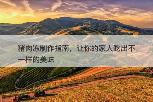 猪肉冻制作指南，让你的家人吃出不一样的美味