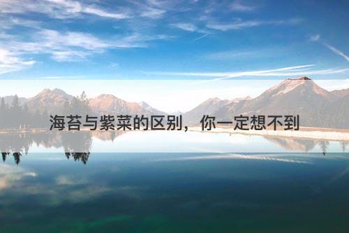 海苔与紫菜的区别，你一定想不到