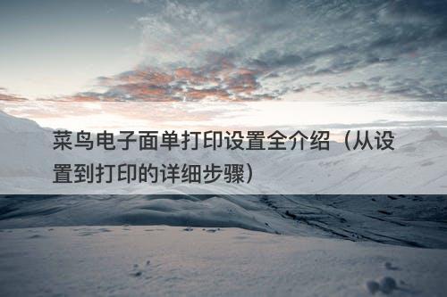 菜鸟电子面单打印设置全介绍（从设置到打印的详细步骤）