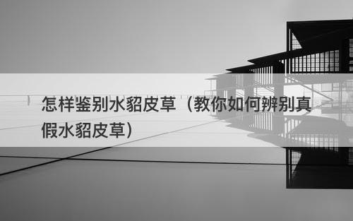 怎样鉴别水貂皮草（教你如何辨别真假水貂皮草）