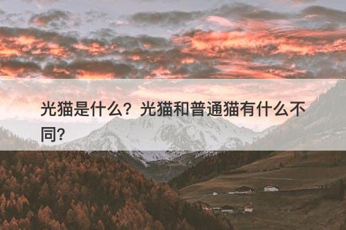 光猫是什么？光猫和普通猫有什么不同？