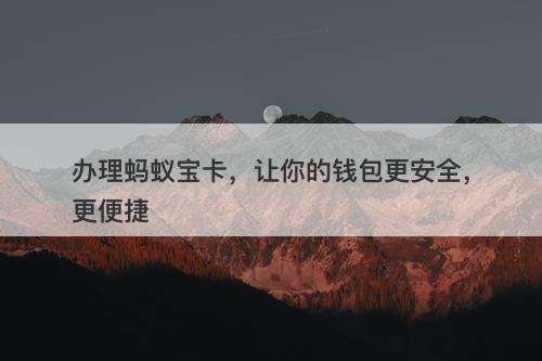 办理蚂蚁宝卡，让你的钱包更安全，更便捷