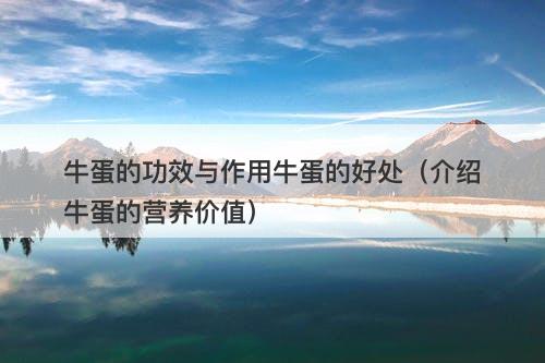 牛蛋的功效与作用牛蛋的好处（介绍牛蛋的营养价值）