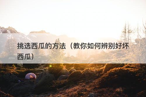 挑选西瓜的方法（教你如何辨别好坏西瓜）