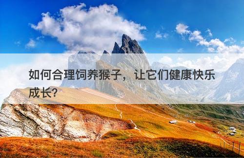 如何合理饲养猴子，让它们健康快乐成长？