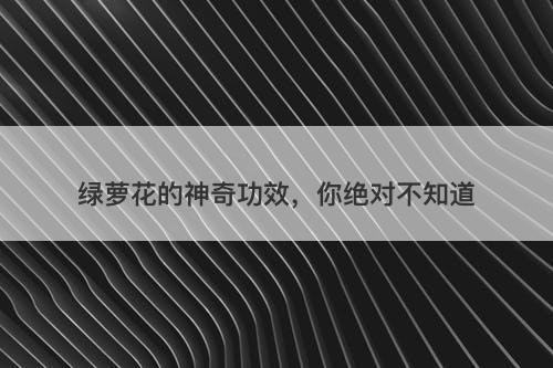 绿萝花的神奇功效，你绝对不知道