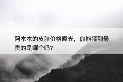 阿木木的皮肤价格曝光，你能猜到最贵的是哪个吗？