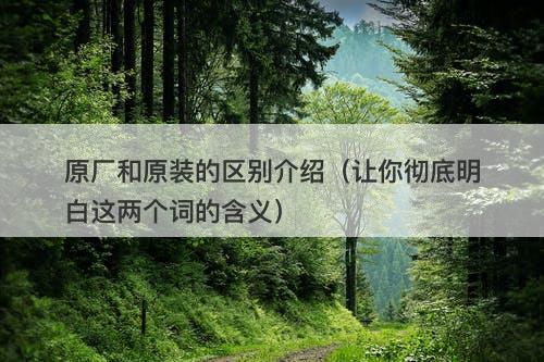 原厂和原装的区别介绍（让你彻底明白这两个词的含义）