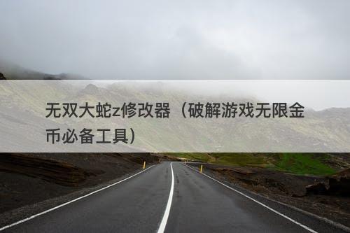 无双大蛇z修改器（破解游戏无限金币必备工具）