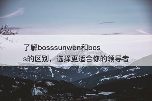 了解bosssunwen和boss的区别，选择更适合你的领导者