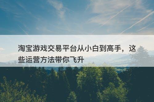 淘宝游戏交易平台从小白到高手，这些运营方法带你飞升