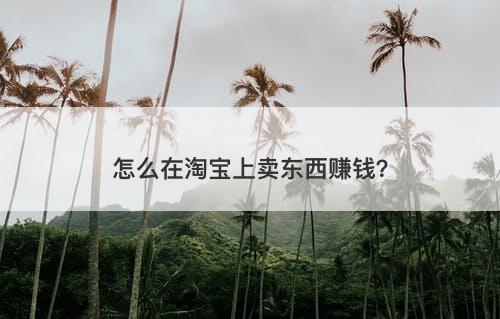 怎么在淘宝上卖东西赚钱？