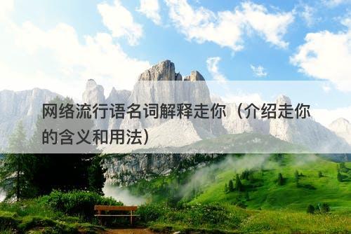 网络流行语名词解释走你（介绍走你的含义和用法）