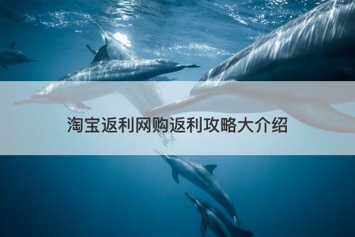 淘宝返利网购返利攻略大介绍