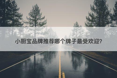 小厨宝品牌推荐哪个牌子最受欢迎？