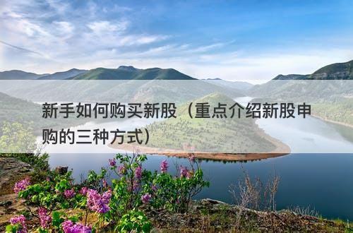 新手如何购买新股（重点介绍新股申购的三种方式）