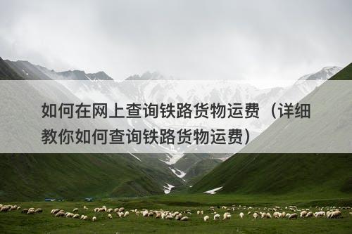 如何在网上查询铁路货物运费（详细教你如何查询铁路货物运费）