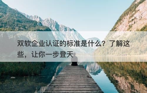双软企业认证的标准是什么？了解这些，让你一步登天