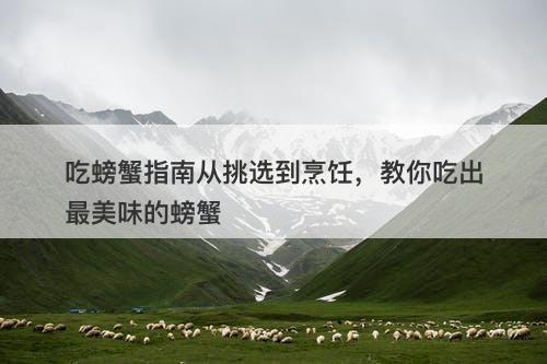 吃螃蟹指南从挑选到烹饪，教你吃出最美味的螃蟹