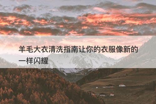 羊毛大衣清洗指南让你的衣服像新的一样闪耀