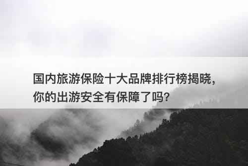 国内旅游保险十大品牌排行榜揭晓，你的出游安全有保障了吗？