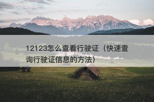 12123怎么查看行驶证（快速查询行驶证信息的方法）