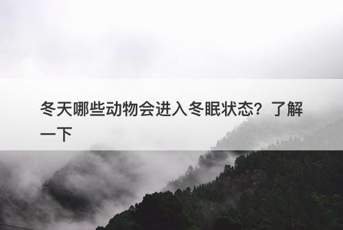 冬天哪些动物会进入冬眠状态？了解一下