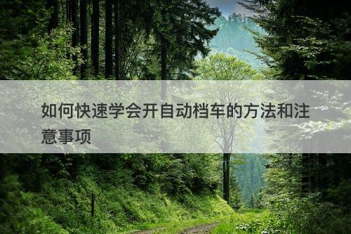 如何快速学会开自动档车的方法和注意事项