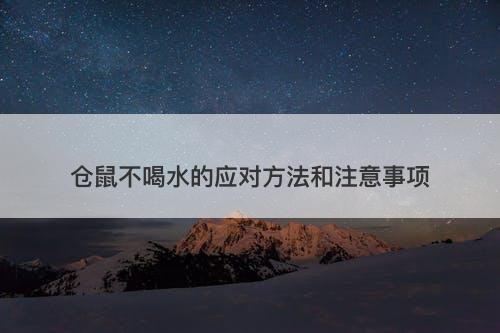 仓鼠不喝水的应对方法和注意事项