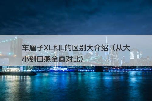 车厘子XL和L的区别大介绍（从大小到口感全面对比）-图1