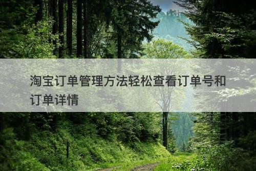 淘宝订单管理方法轻松查看订单号和订单详情