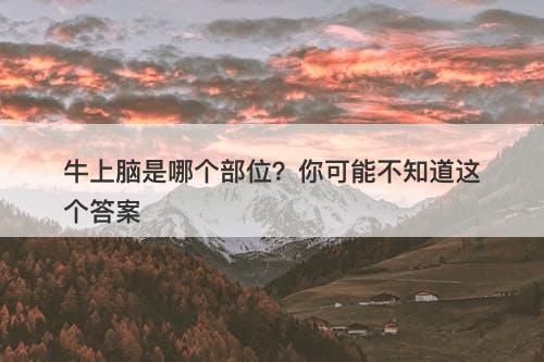 牛上脑是哪个部位？你可能不知道这个答案