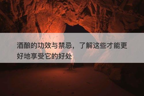 酒酿的功效与禁忌，了解这些才能更好地享受它的好处