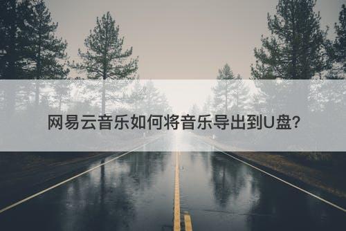 网易云音乐如何将音乐导出到U盘？-图1