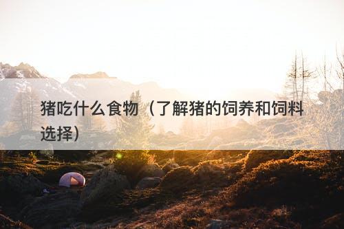 猪吃什么食物（了解猪的饲养和饲料选择）-图1