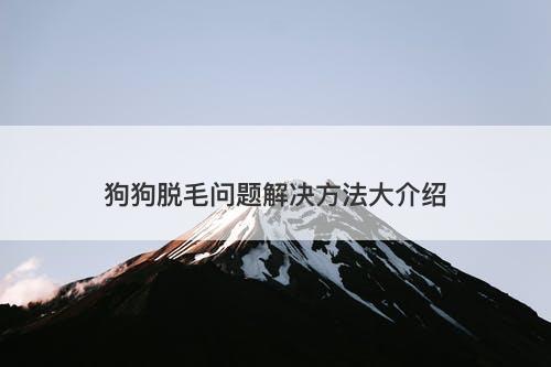 狗狗脱毛问题解决方法大介绍