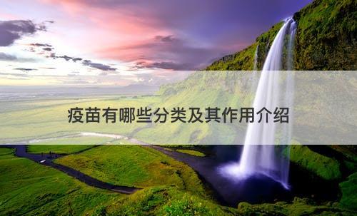 疫苗有哪些分类及其作用介绍-图1