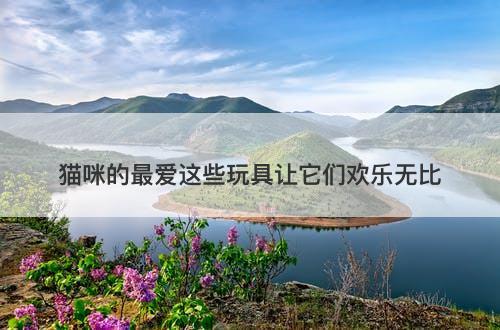 猫咪的最爱这些玩具让它们欢乐无比