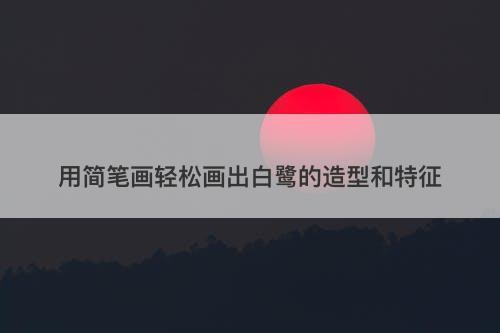 用简笔画轻松画出白鹭的造型和特征