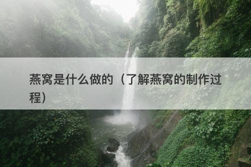 燕窝是什么做的（了解燕窝的制作过程）