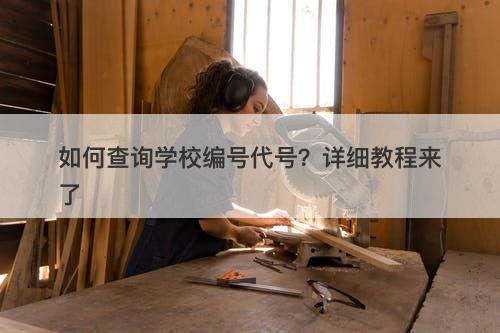 如何查询学校编号代号？详细教程来了