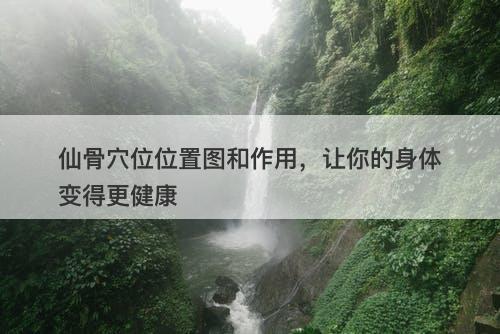仙骨穴位位置图和作用，让你的身体变得更健康