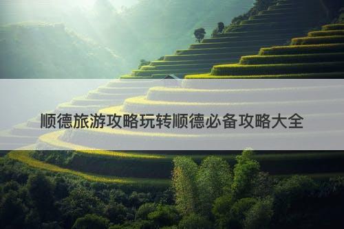 顺德旅游攻略玩转顺德必备攻略大全