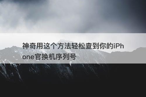 神奇用这个方法轻松查到你的iPhone官换机序列号