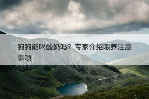 狗狗能喝酸奶吗？专家介绍喂养注意事项